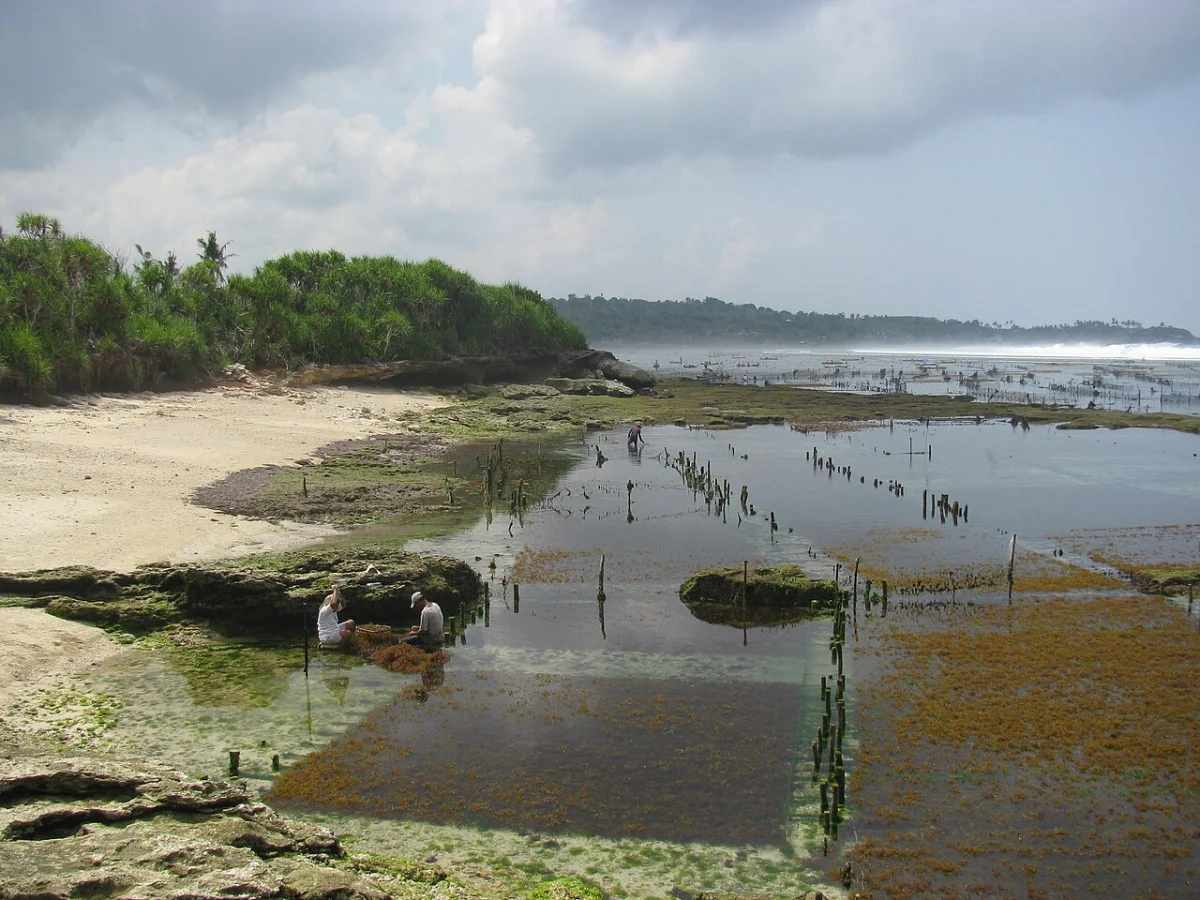 No Man's Land (Nusa Lembongan)