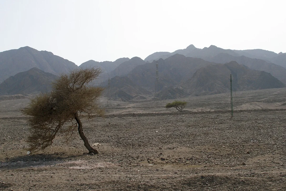 Nuweiba