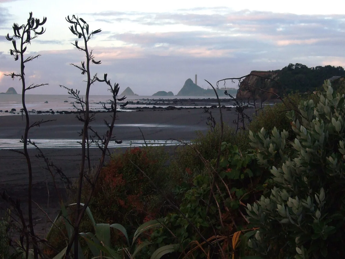 Oakura Beach