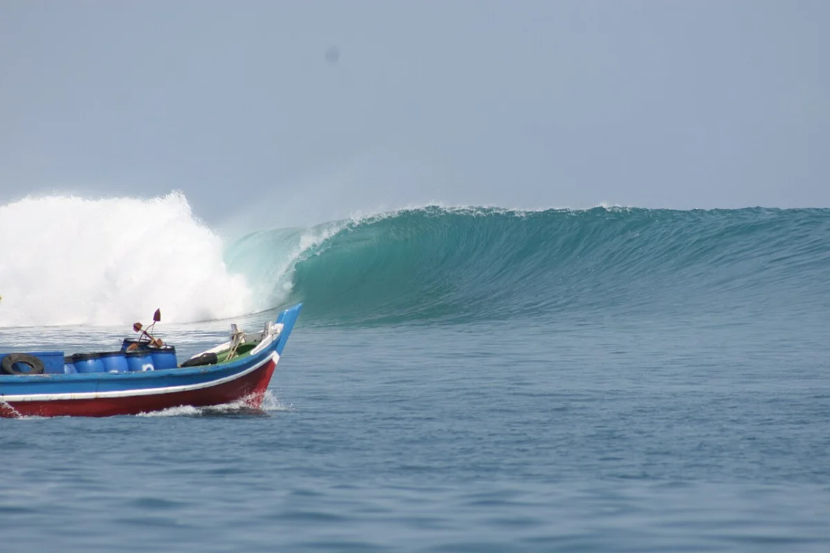 One Palm Point
