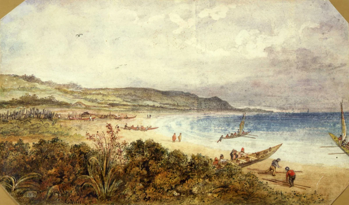 Palliser Bay
