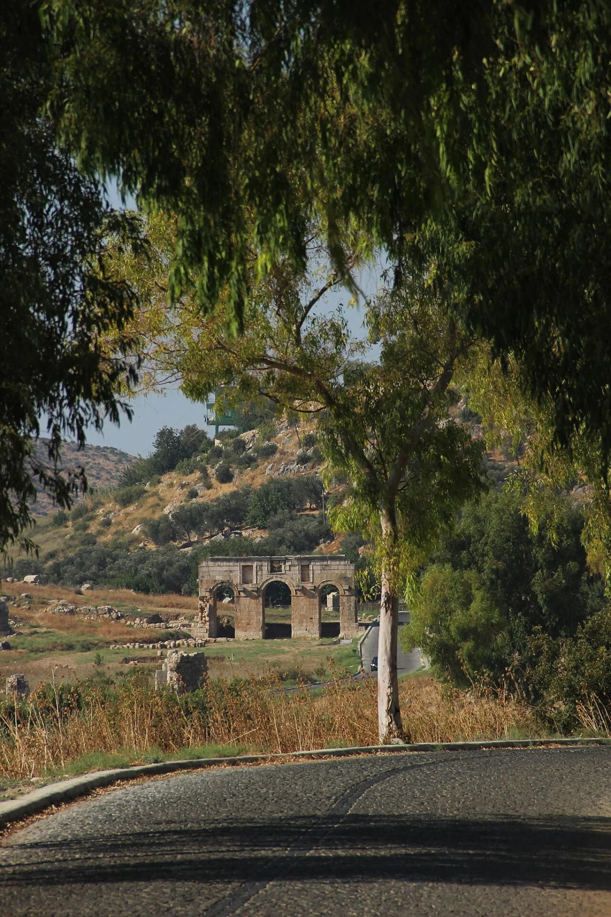 Patara