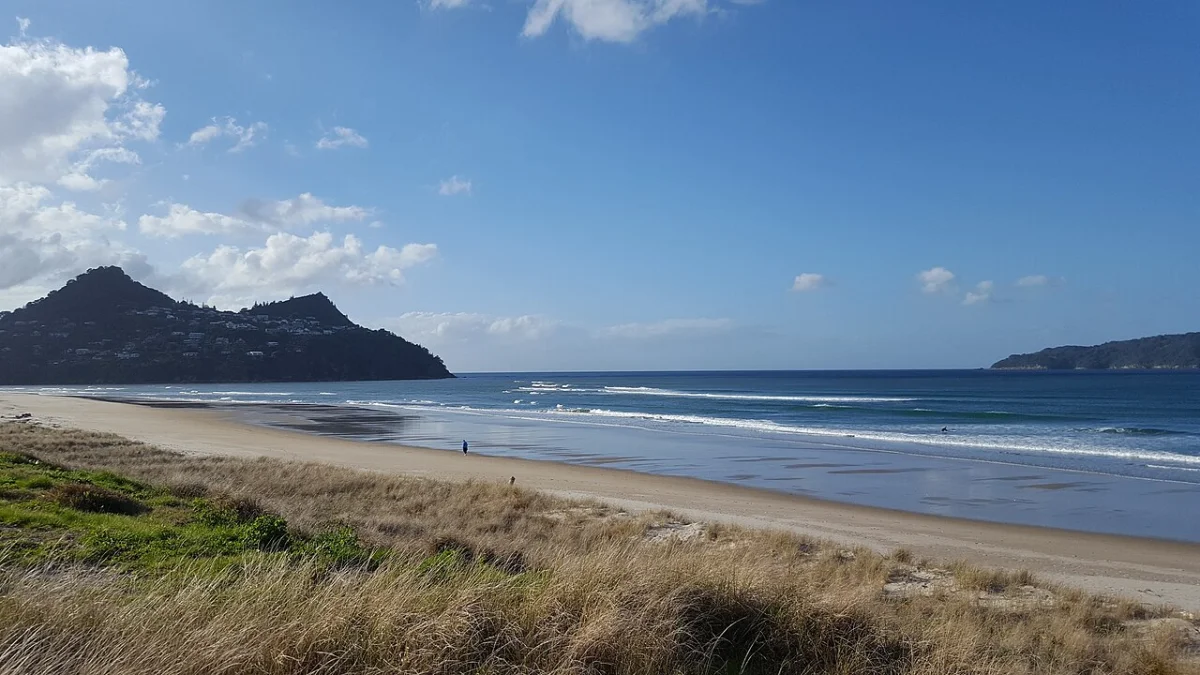 Pauanui
