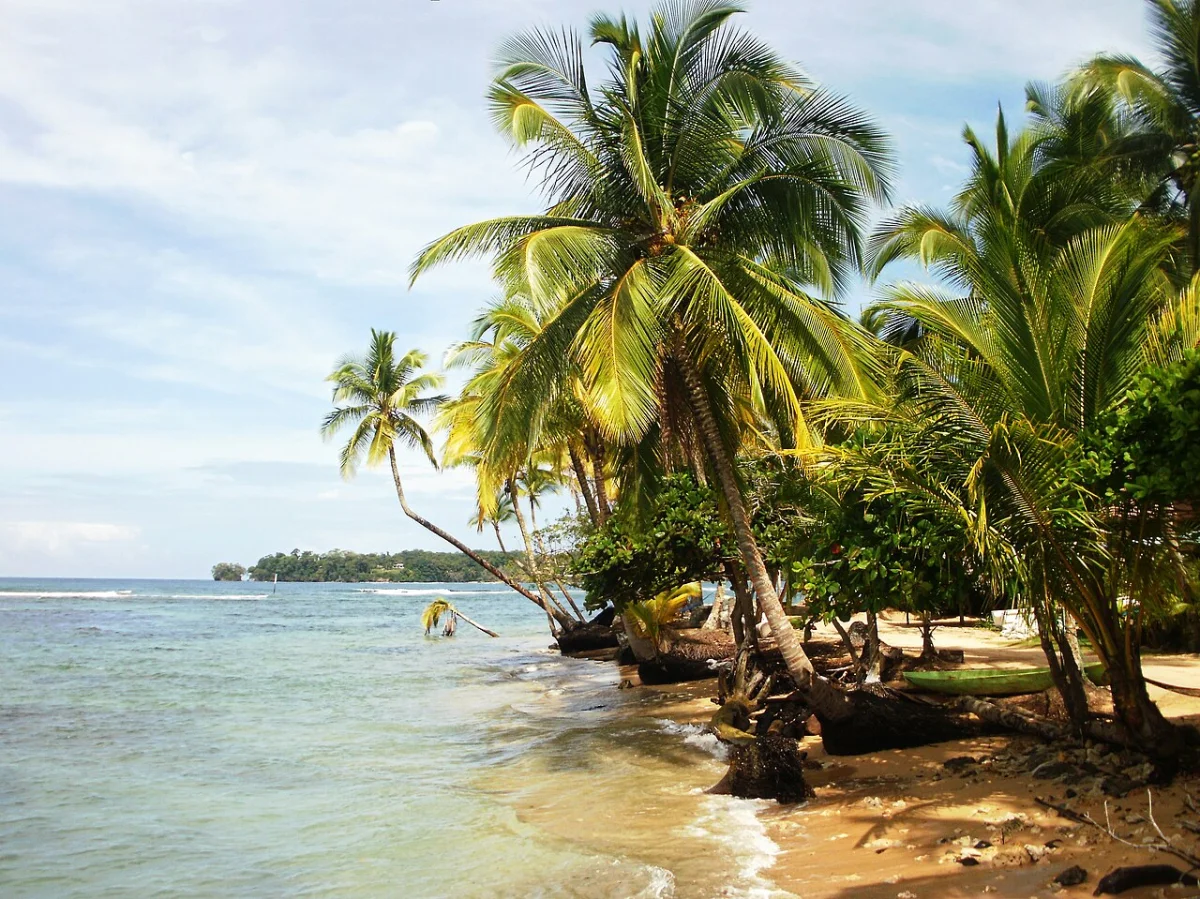 Paunch (Bocas)