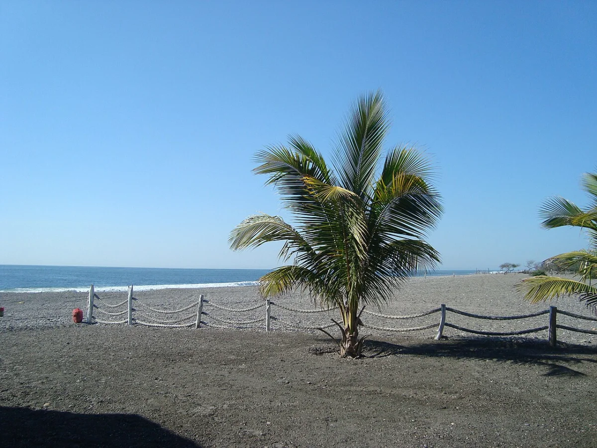 Petacalco