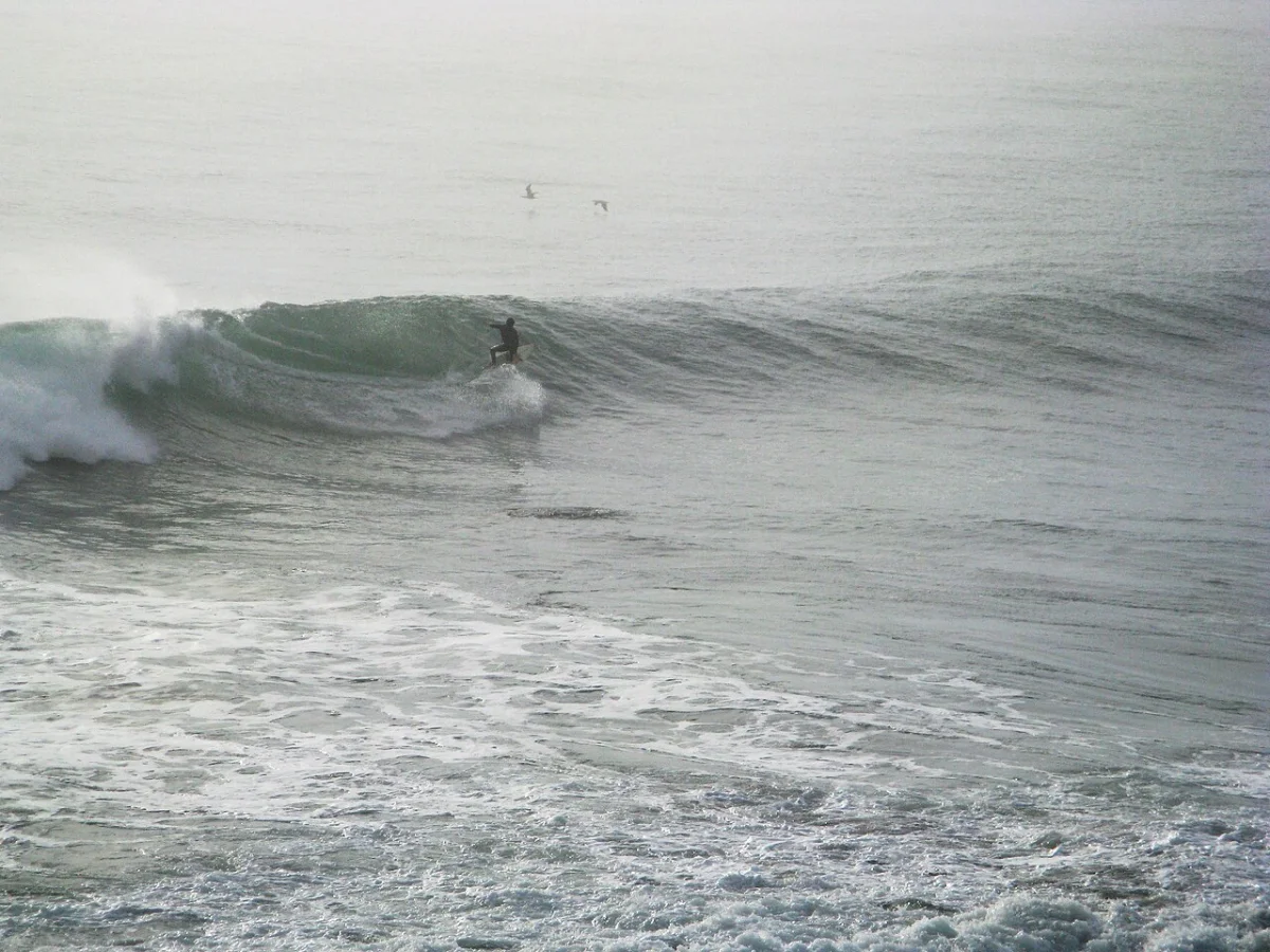 Pichilemu Punta de Lobos