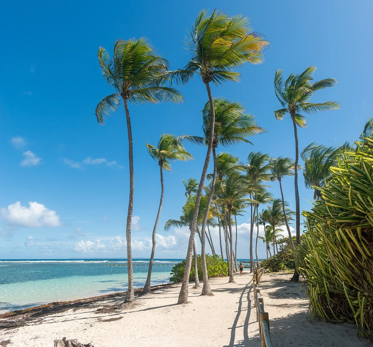 Plage de la Caravelle (Sainte-Anne)
