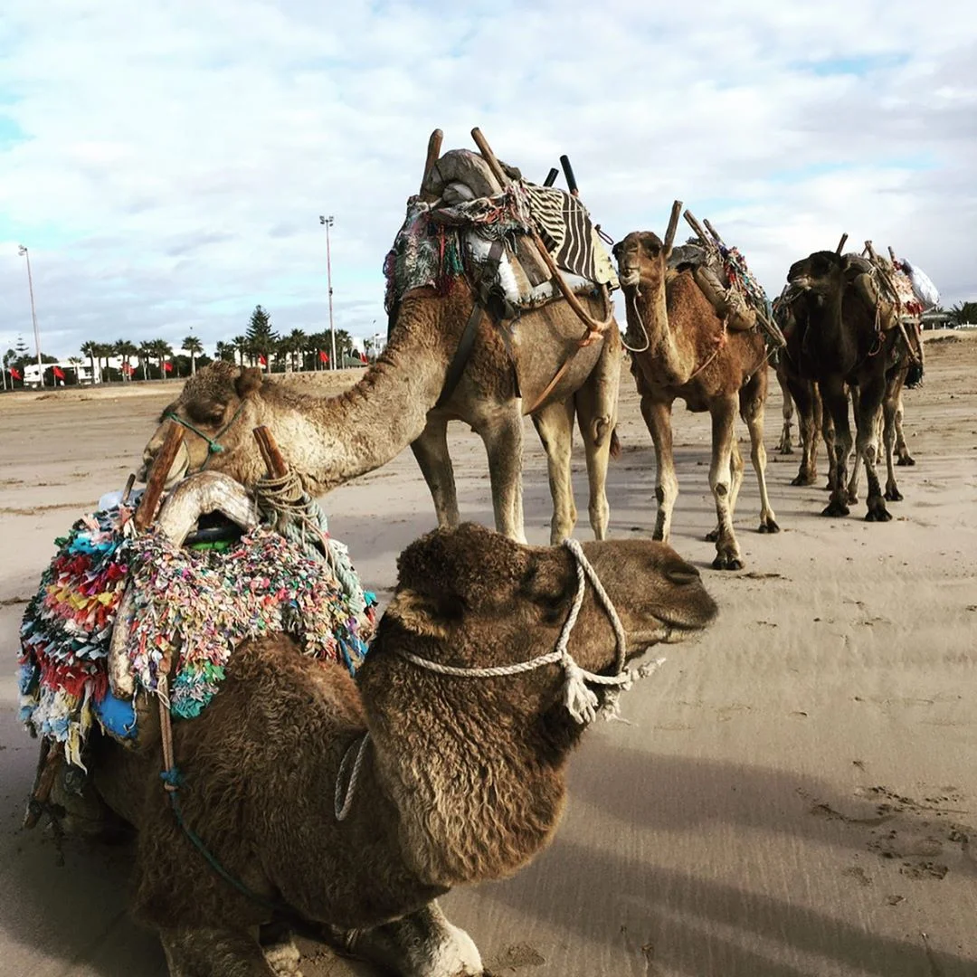 Plage d'Essaouira
