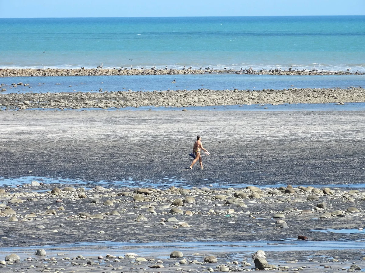 Playa El Palmar