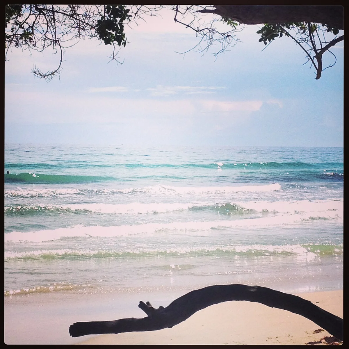 Playa Guacuco