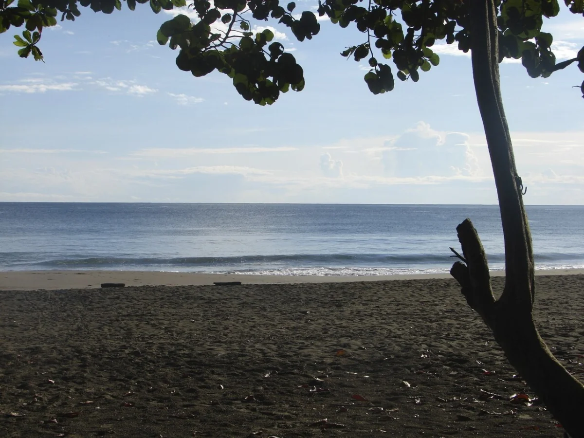 Playa Negra (Puerto Viejo)