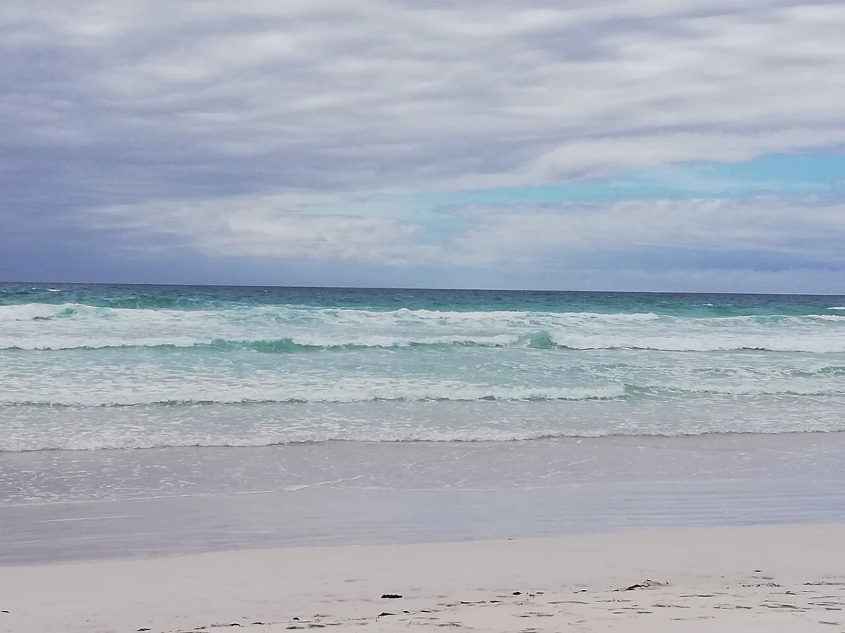 Playa Tortuga (Galápagos)