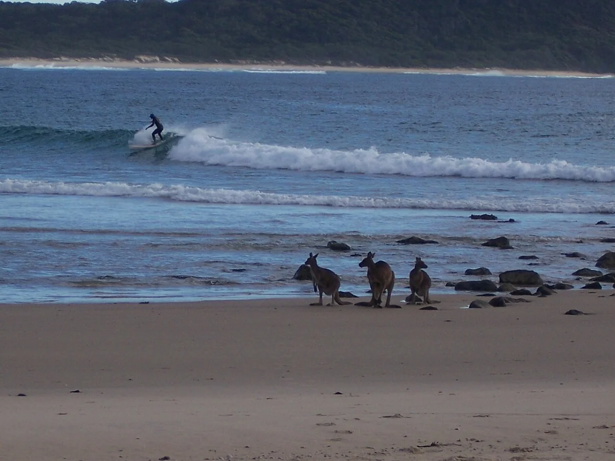 Point Plomer
