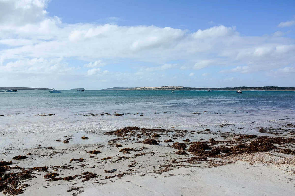 Pondalowie Bay