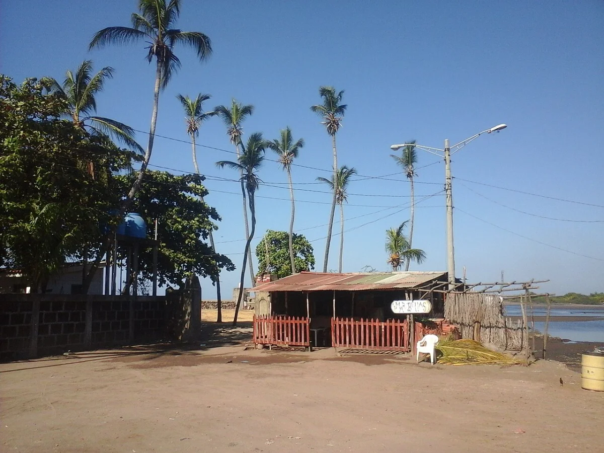 Poneloya