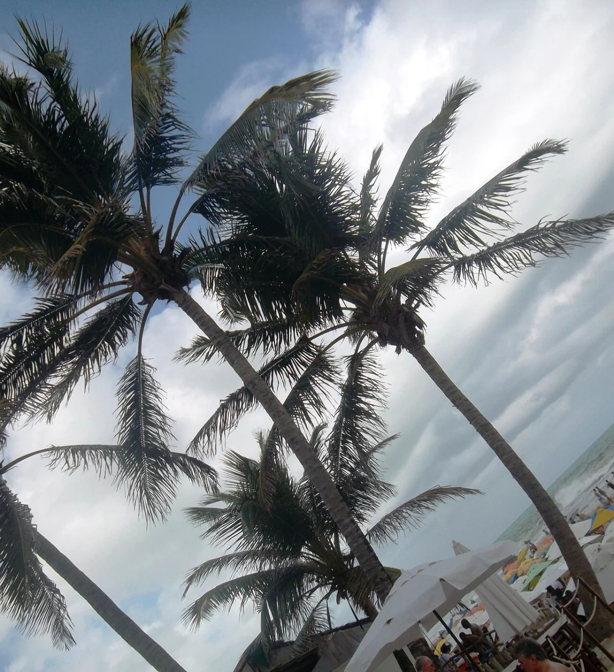 Praia de Arembepe