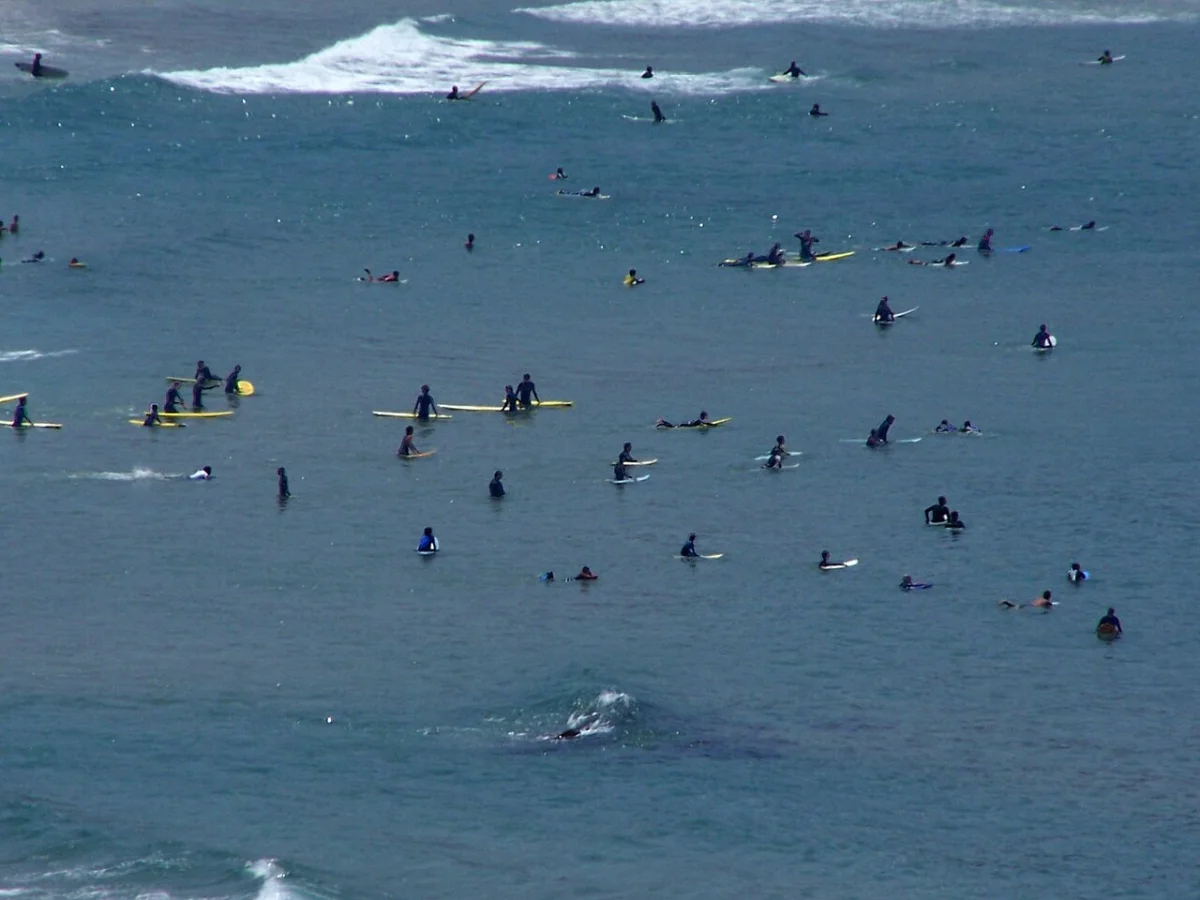 Praia de Faro