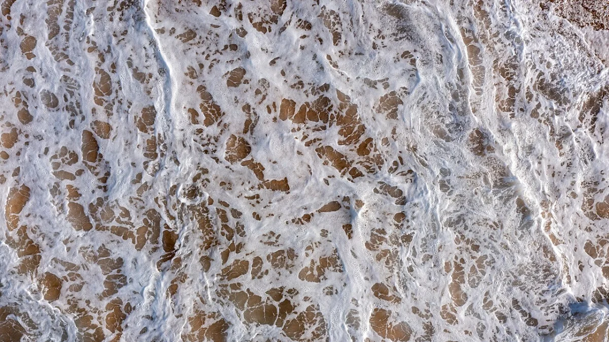 Praia do Farol da Barra
