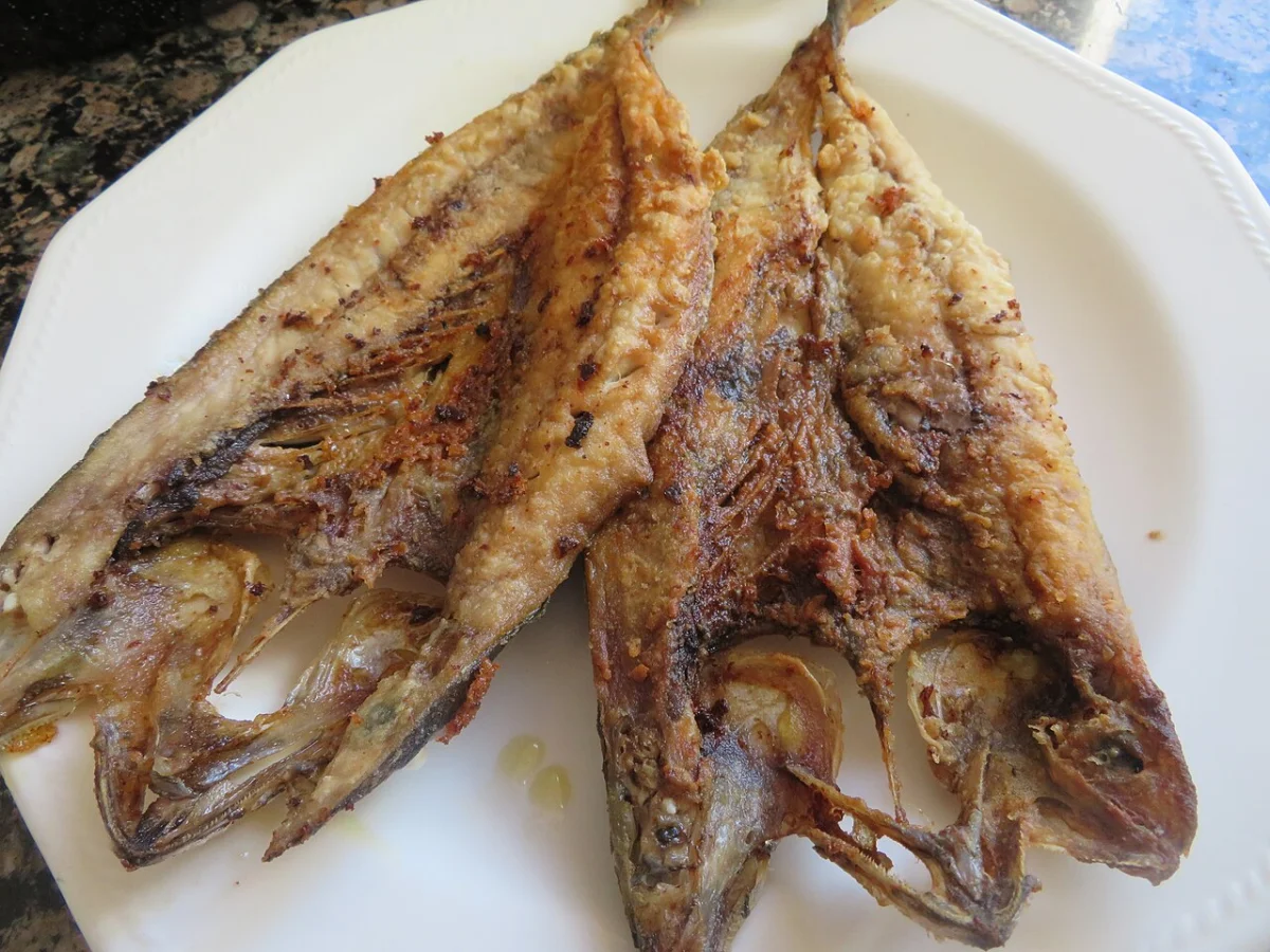 Puerto Caballas