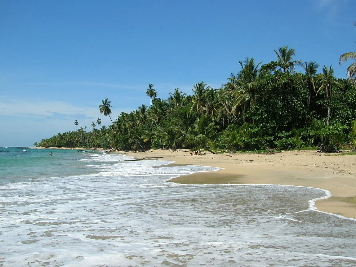 Punta Uva