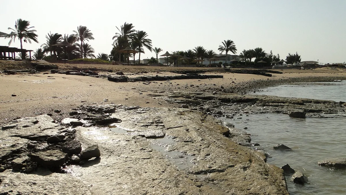Ras Sudr