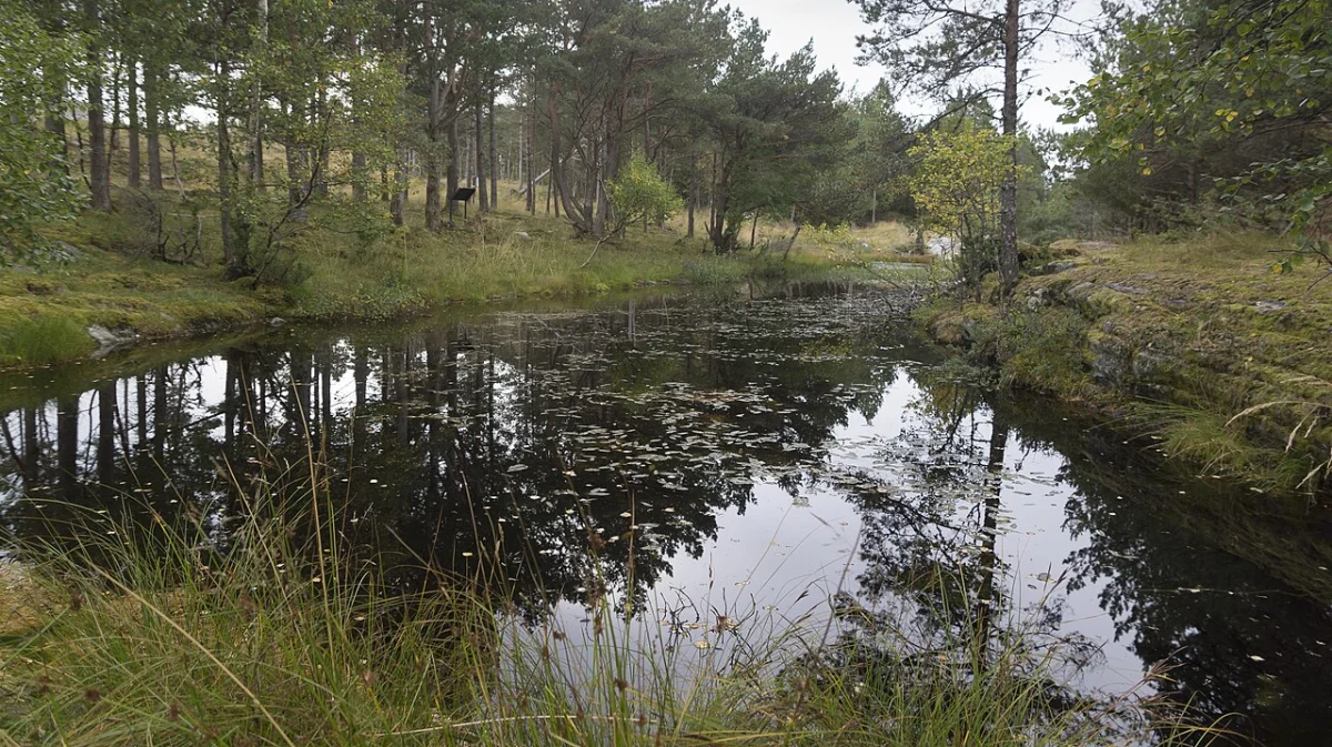 Refsnes