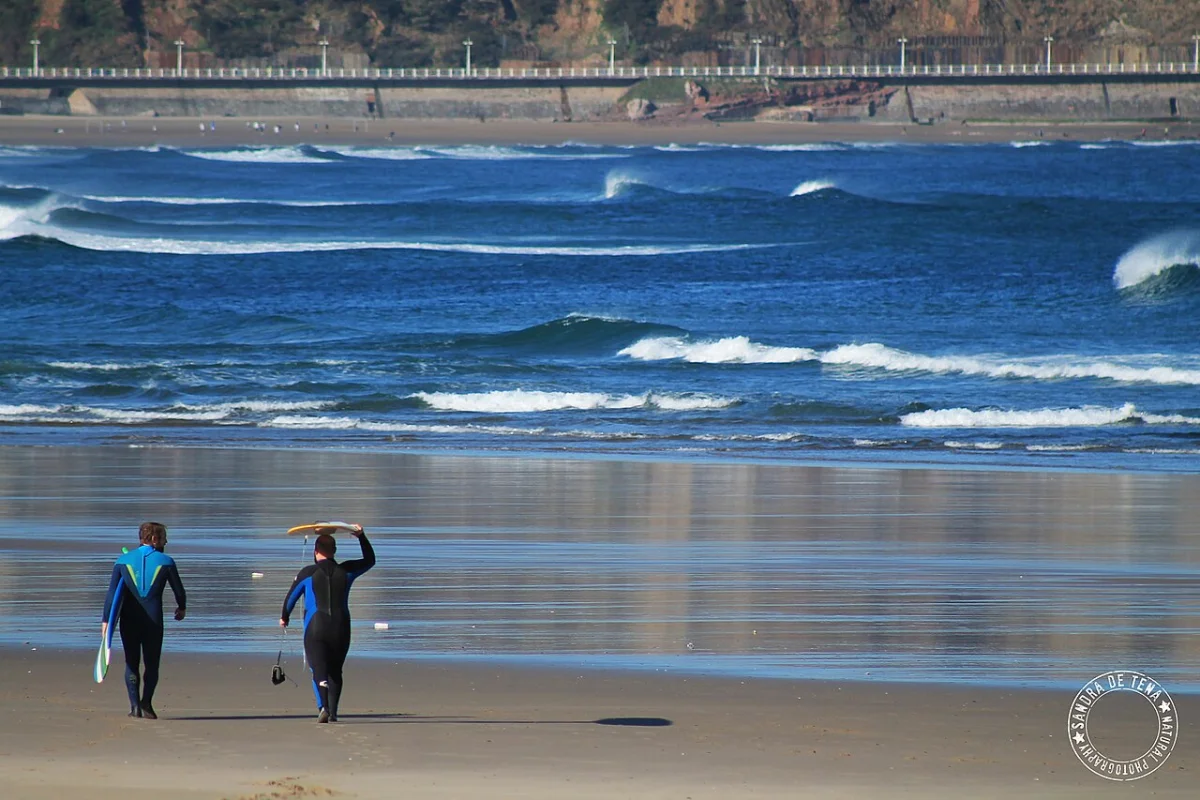 Salinas