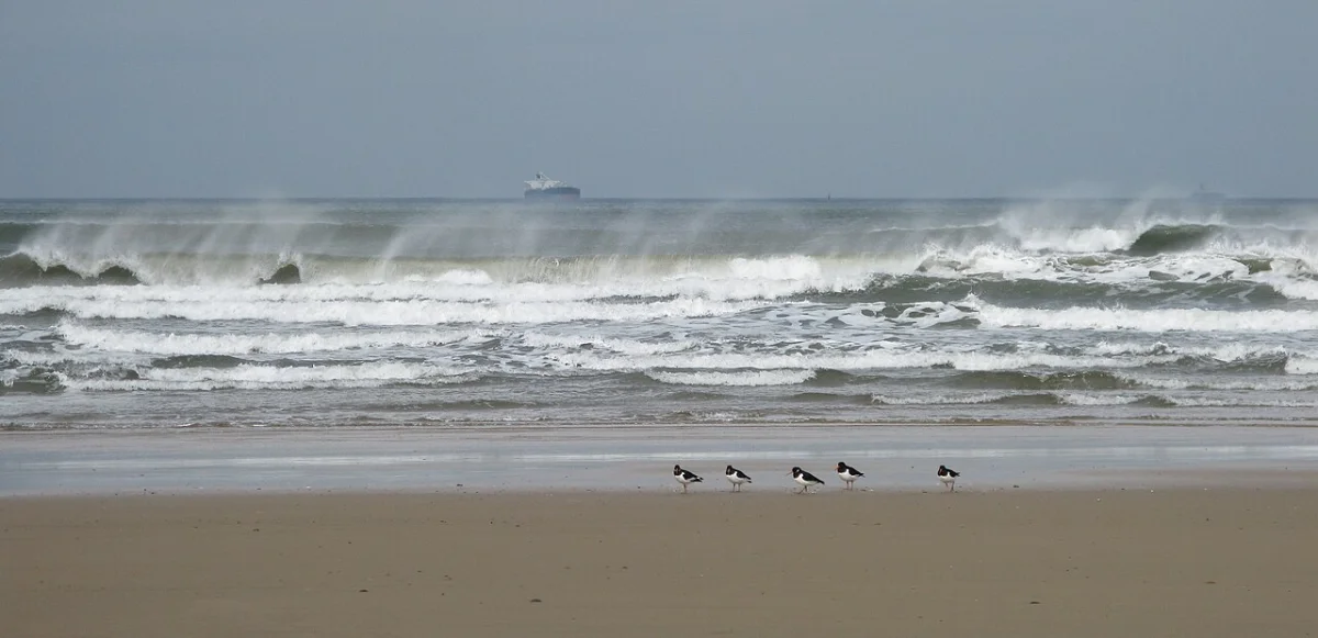 Saltburn