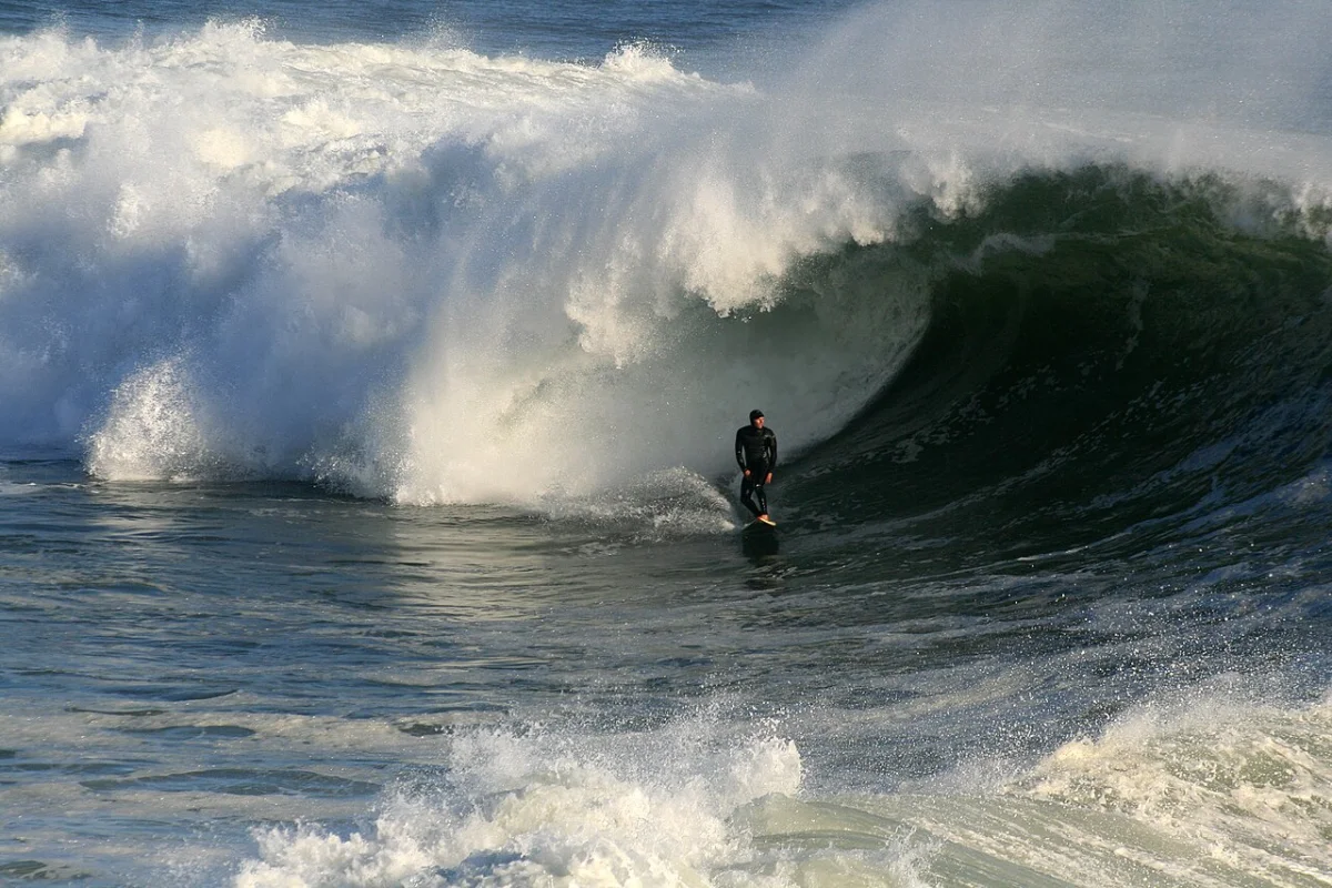 Santa Cruz The Hook