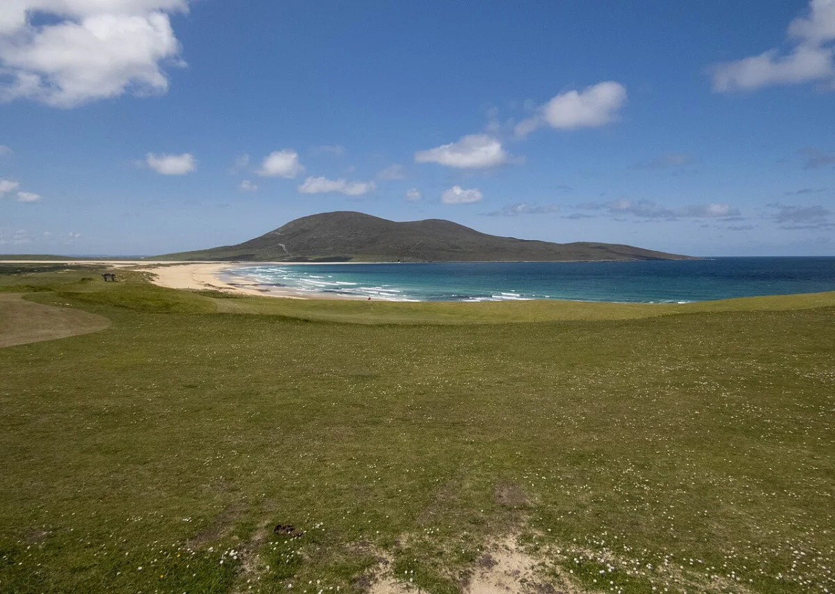 Scarista