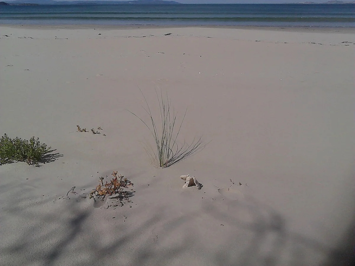 Seven Mile Beach (Hobart)