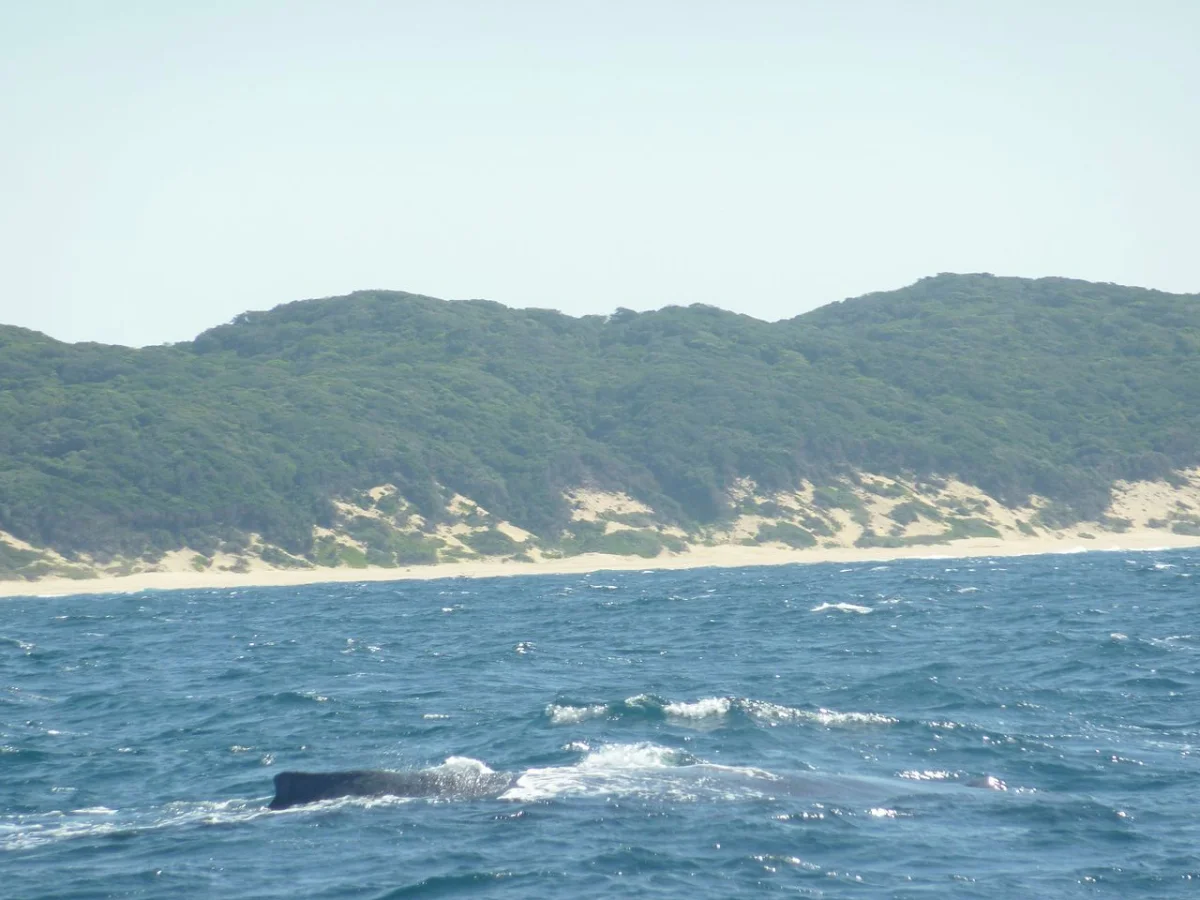 Sodwana Bay