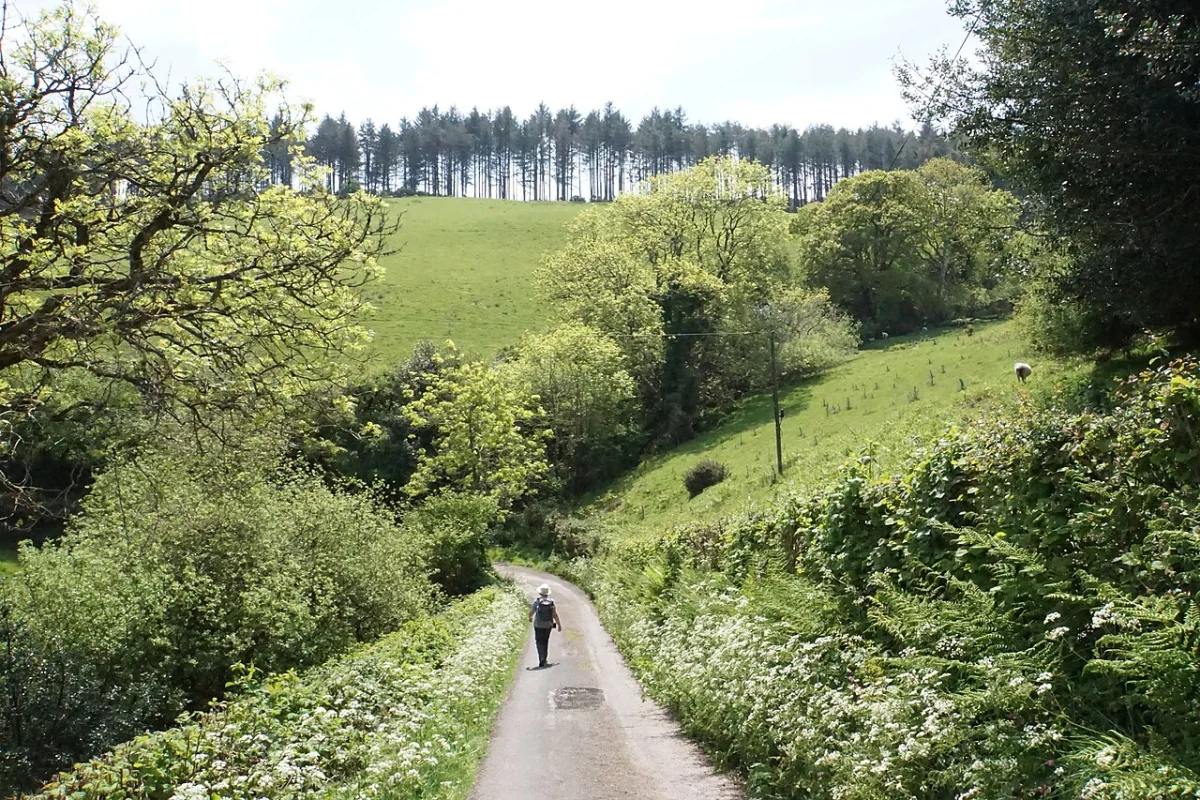 Stent Road