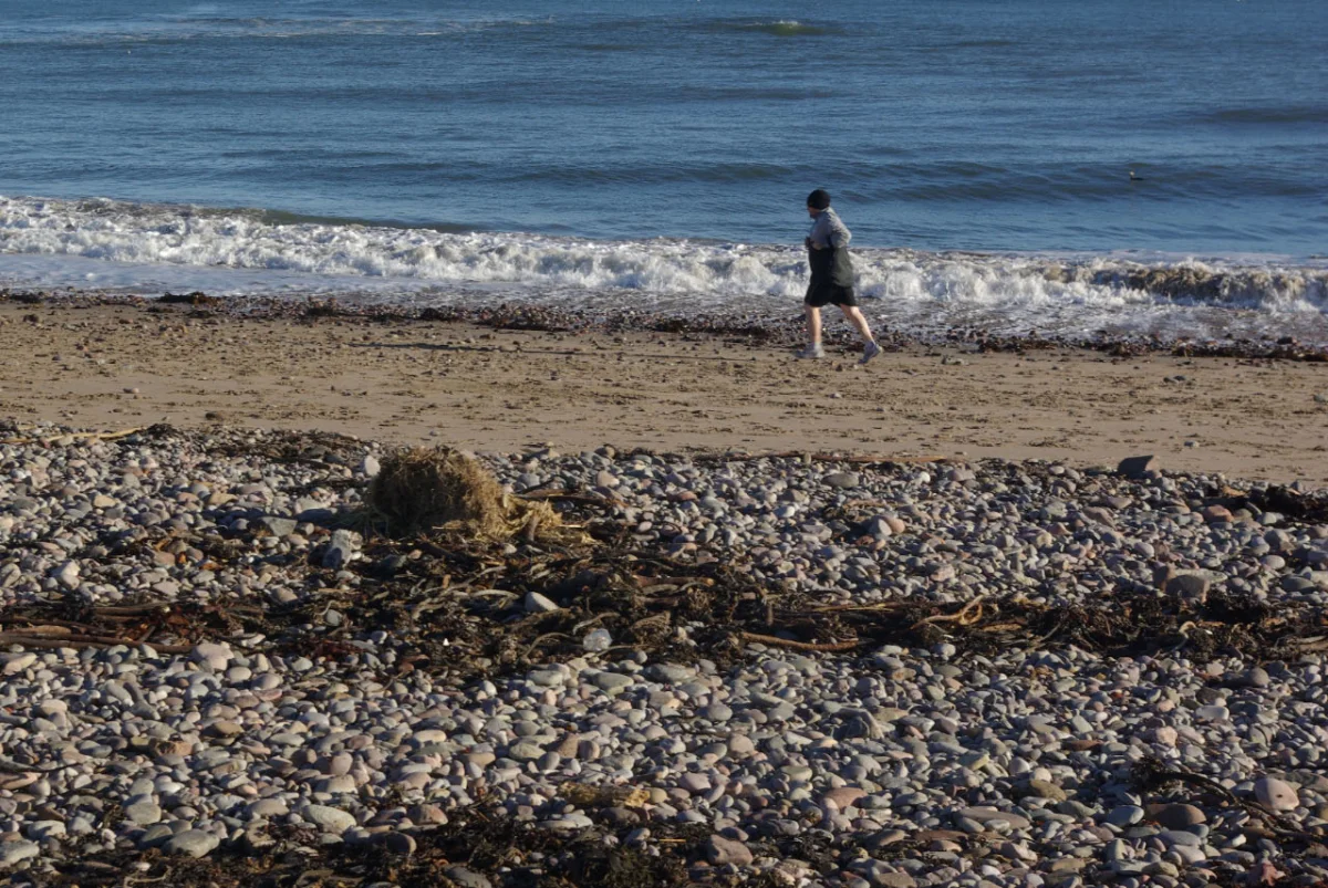 Stonehaven