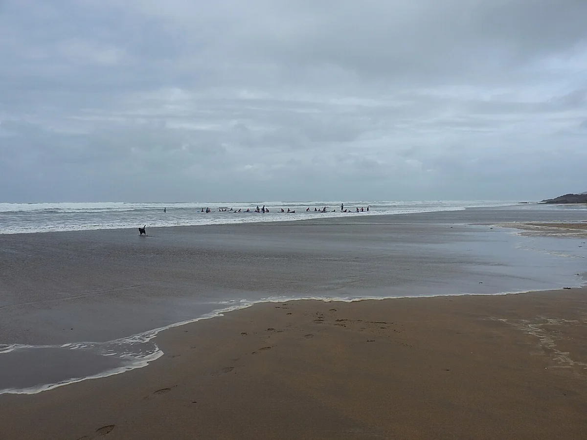 Summerleaze