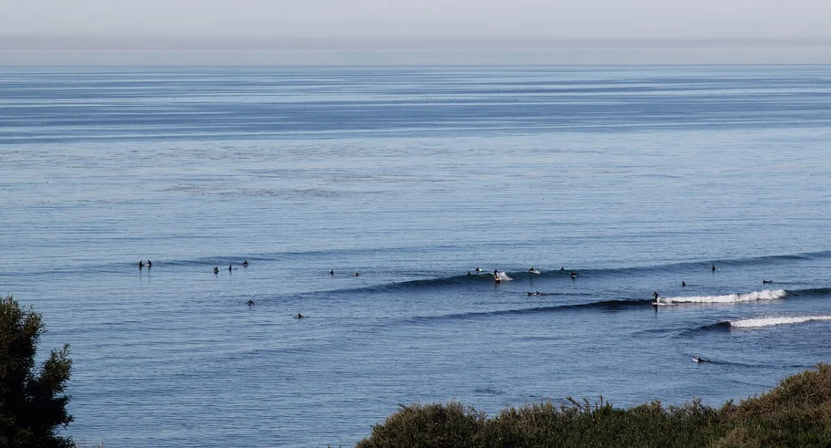 Swamis