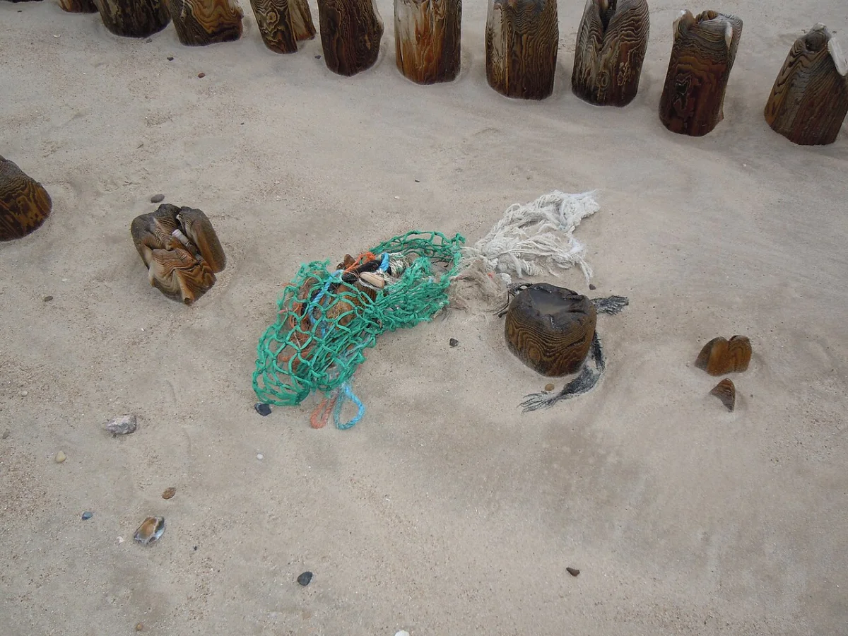Sylt (Buhne 16)