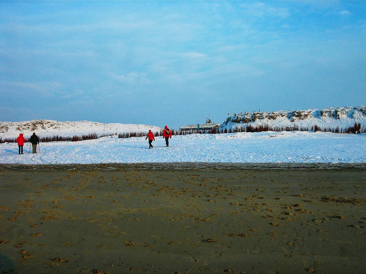 Texel (Paal 9)