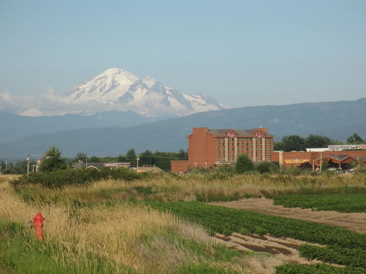 The Mount Reef