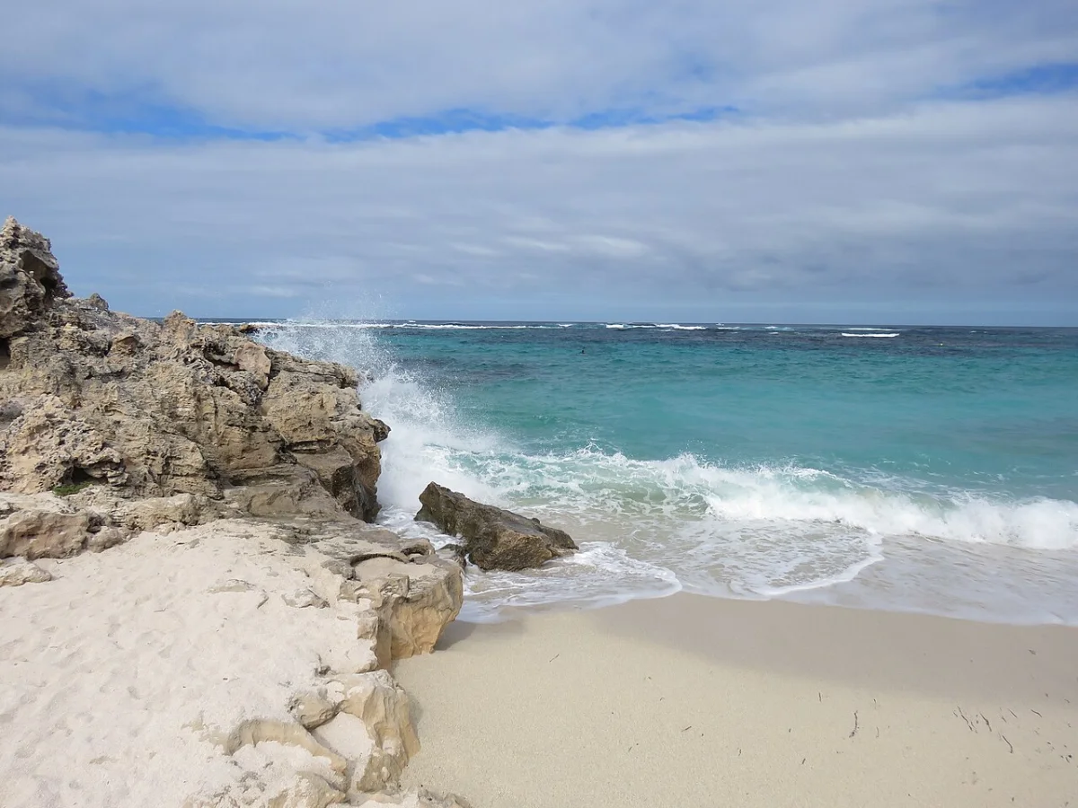 The Spot (Island Bay)