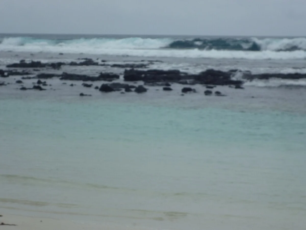 Tortugas