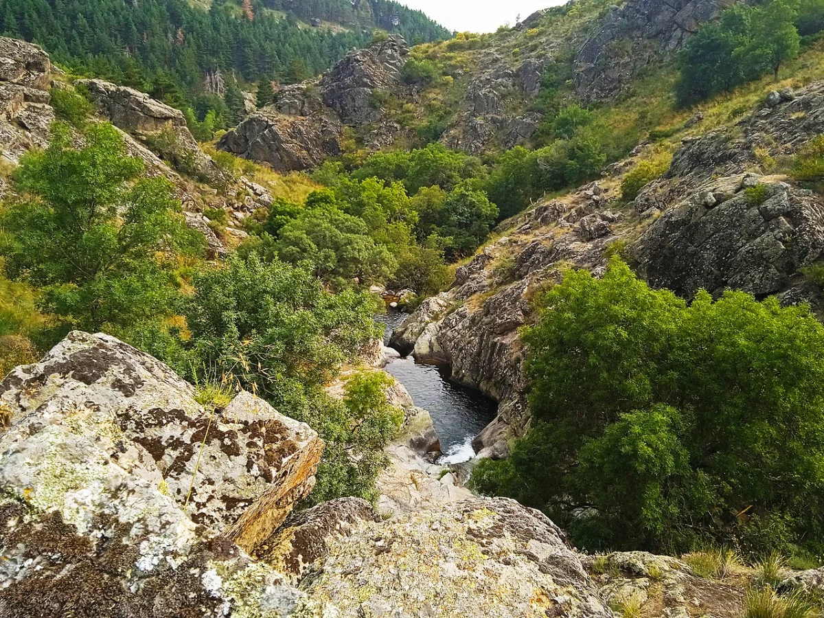 Valor (Caldera)