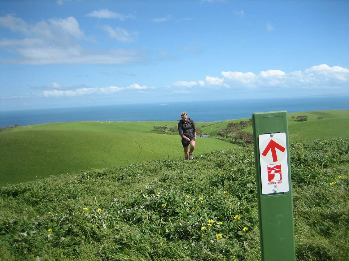 Waitpinga