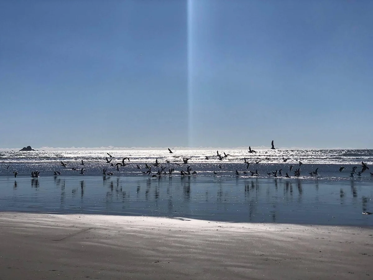Westport (Tauranga Bay)